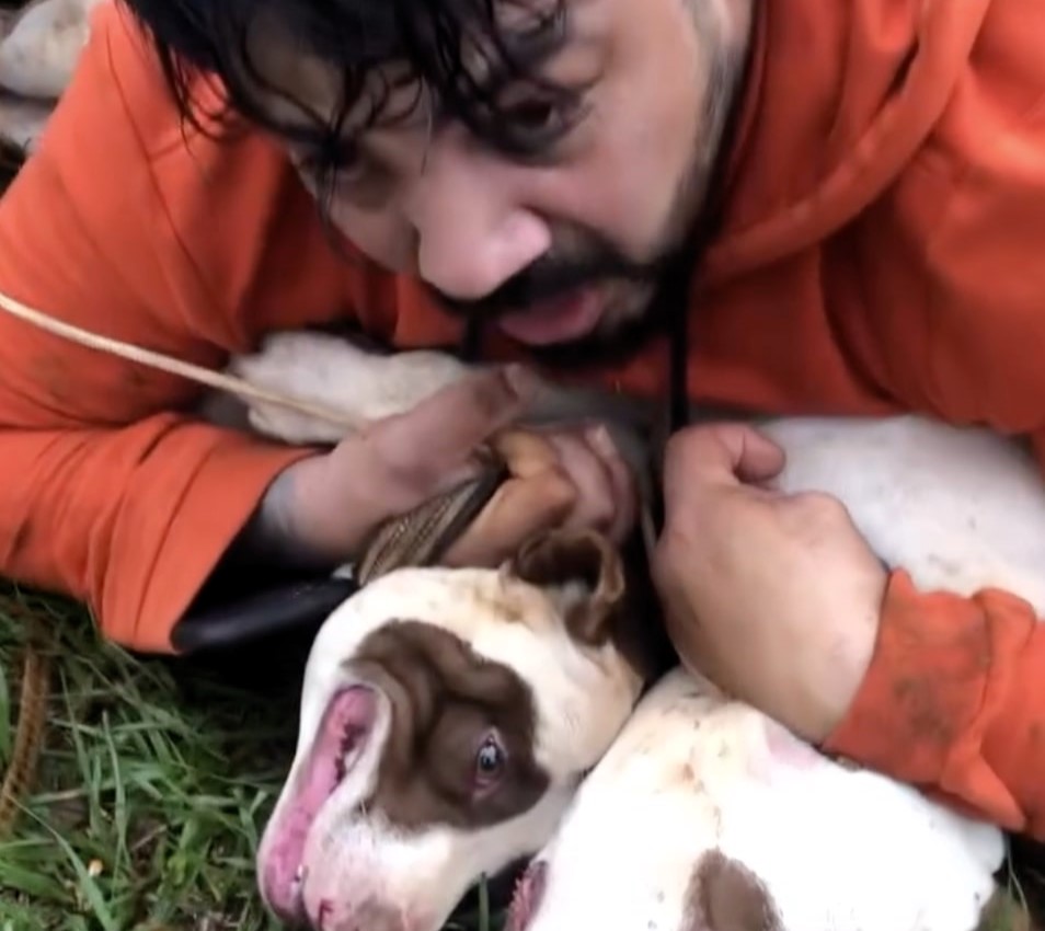 Muay Thai instructor Ernesto Chaves survives brutal pit bull attack in Brazil using martial arts skills, sparking police probe into owner’s alleged negligence and safety risks.