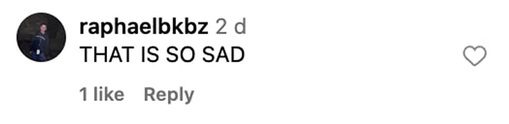 Social media comment on the post of A viral video showing the capture of a giant manta ray off Panama City, Florida, has sparked outrage. Despite holding a permit, the act was slammed as cruel and heartbreaking.