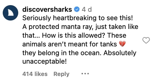 Social media comment on the post of A viral video showing the capture of a giant manta ray off Panama City, Florida, has sparked outrage. Despite holding a permit, the act was slammed as cruel and heartbreaking.