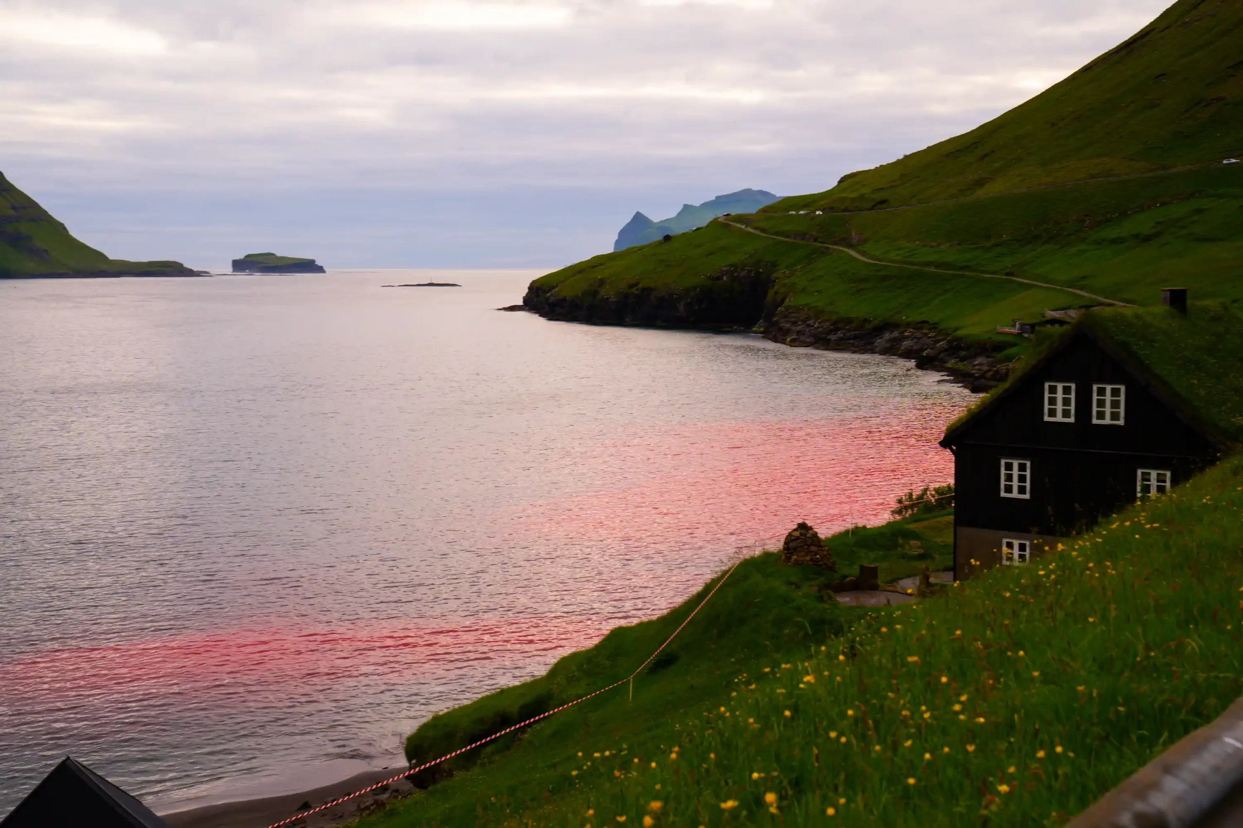 Nearly 100 pilot whales, including pregnant females and calves, slaughtered in Faroe Islands' controversial grindadráp hunts, sparking global outrage and renewed calls for change.