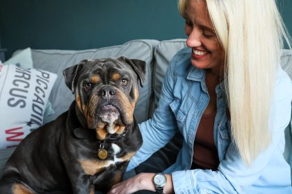 Puppy Bernie finds loving home after being repeatedly punched by cruel owner - rescued by RSPCA with fractured ribs and cheek, now thriving with a new family.