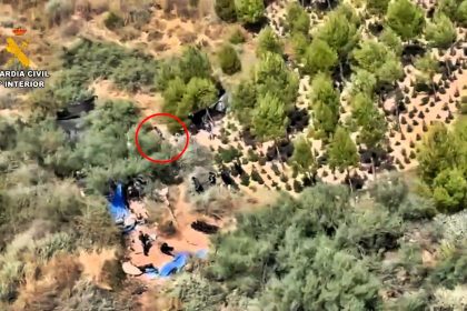 A massive hidden cannabis farm with over 1,300 plants was raided in a Spanish forest after a police helicopter spotted it. One suspect was arrested, another fled.
