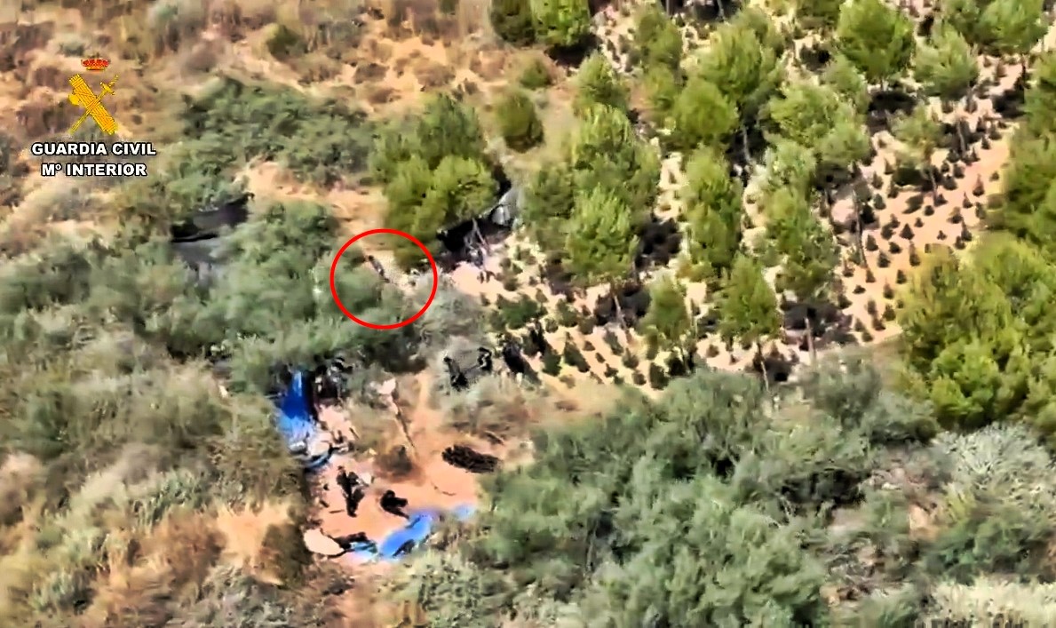 A massive hidden cannabis farm with over 1,300 plants was raided in a Spanish forest after a police helicopter spotted it. One suspect was arrested, another fled.