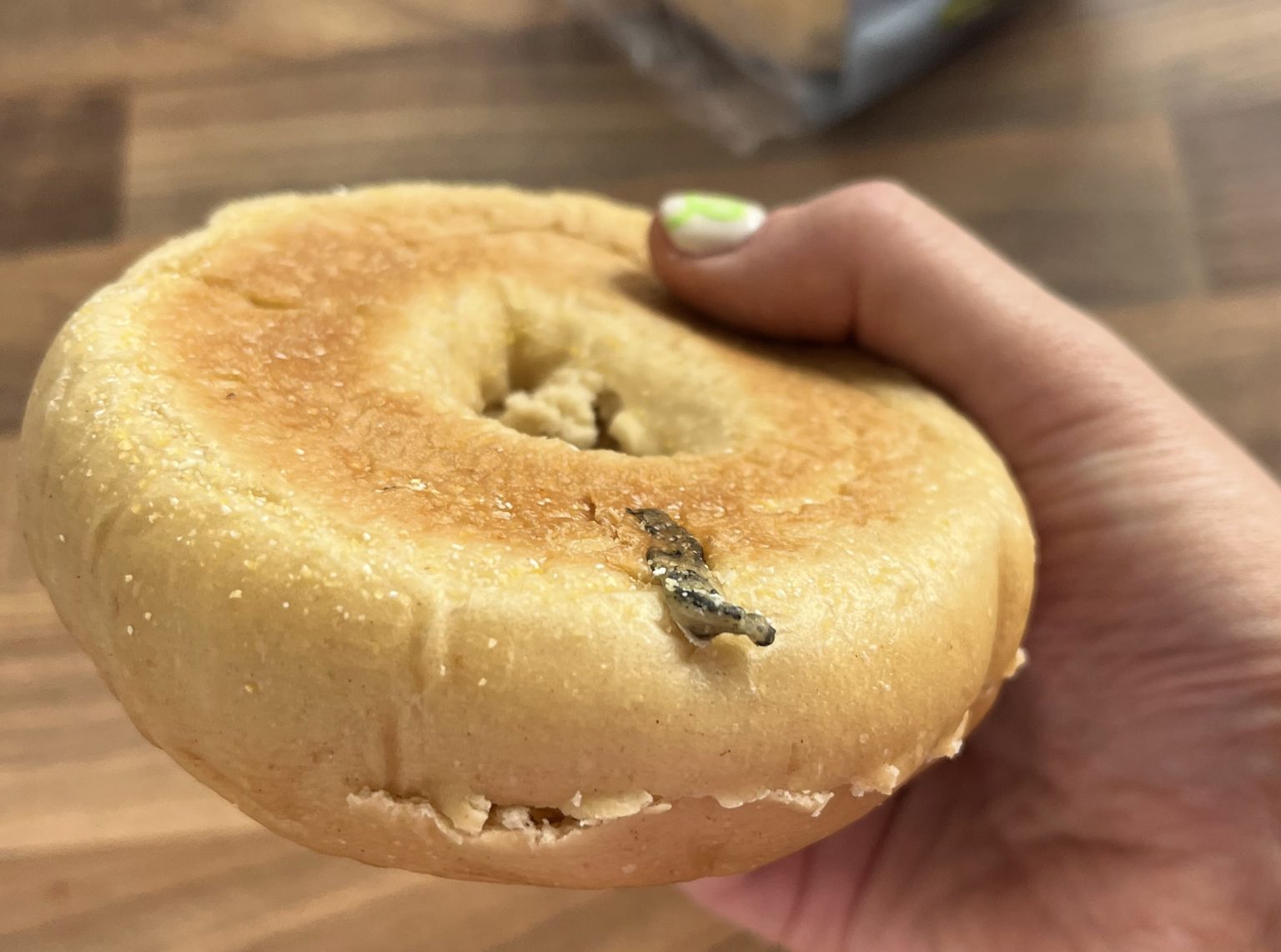 Rachel Hamill claims she found a slug in her M\&S bagel, but the supermarket insists it was likely an onion. She remains unconvinced, calling a refund "not good enough."