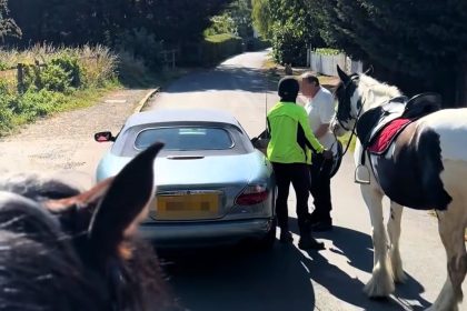 Jaguar driver sparks fury in Epping Forest after foul-mouthed road rage row with horse riders who asked him to slow down - shocked locals weigh in after video goes viral.