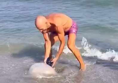 Giant jellyfish stuns tourists after washing up on El Castillo Beach in Fuengirola - massive creature sparks debate as locals argue over whether it should be left in water.