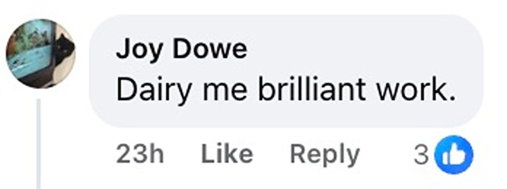 Social media comment on the post of Firefighters stage tug-of-war rescue to save 100-stone cow stuck in Norfolk canal as exhausted heifer is pulled free and safely returned to her field in mooo-velous mission.