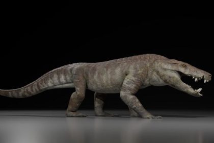 Scientists in Argentina discovered fossils of Kostensuchus Atrox, a 250kg killer crocodile that lived 70 million years ago and likely hunted dinosaurs as a top predator.