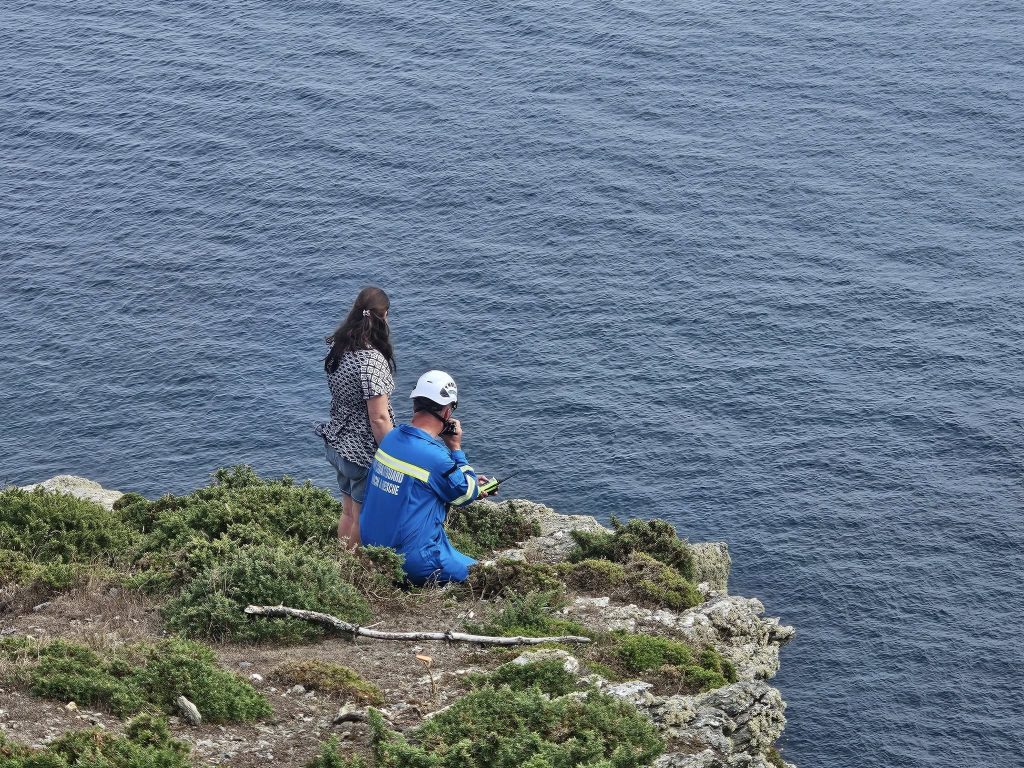 Rescue dog Jake sparked a huge community search after bolting from his new home in Cornwall - he was found days later stranded on cliffs before a dramatic rescue.