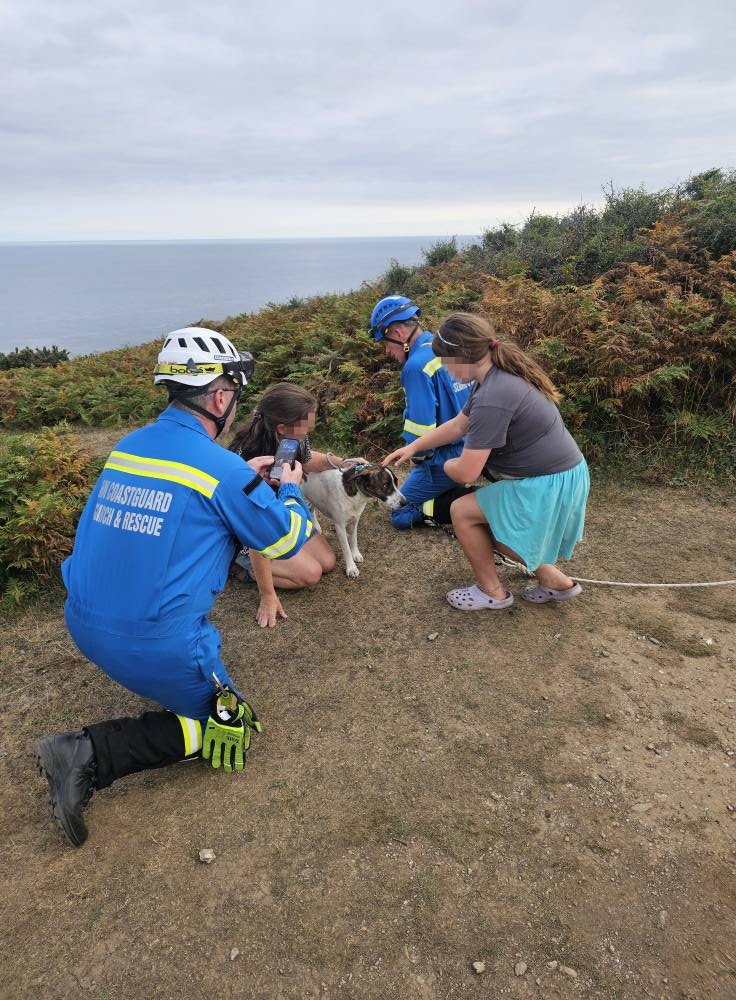 Rescue dog Jake sparked a huge community search after bolting from his new home in Cornwall - he was found days later stranded on cliffs before a dramatic rescue.
