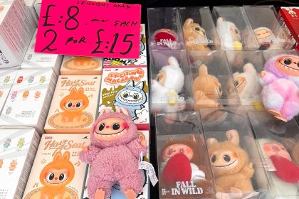 More than 800 fake Labubu dolls plus illegal vapes and AirPods were seized in a Staffordshire market raid as officials warn shoppers of the dangers of counterfeit goods.