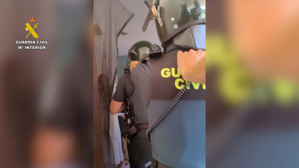 Police in Spain busted a €1,000-a-head “spiritual retreat” selling drug-laced holidays. Three ringleaders face charges after ayahuasca, San Pedro cacti and Kambó toad toxins were seized.