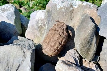 A metal detecting club sparked a mass evacuation after unearthing a live hand grenade in Cumbria - bomb disposal experts carried out a controlled explosion safely.