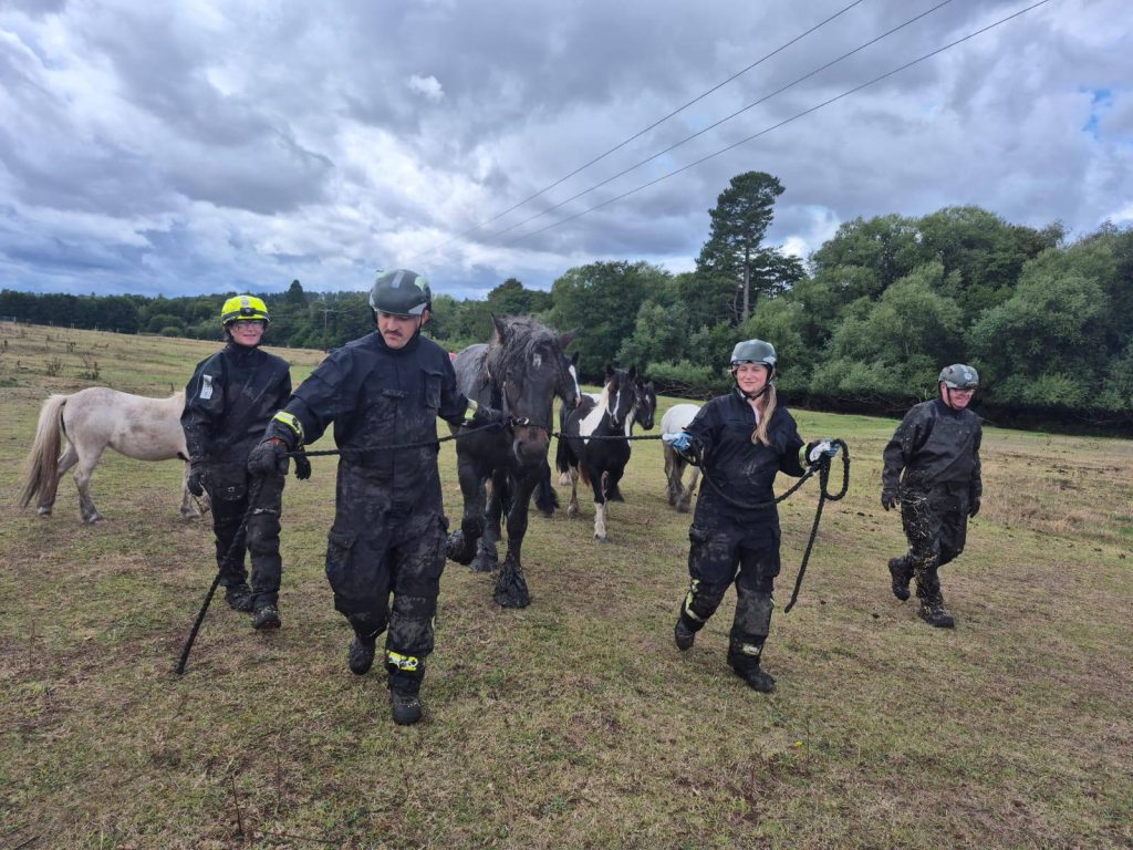 Heroic rescue as 800kg horse Ruby is saved from muddy bog in Bromyard - fire crews, a farmer and vet work together to lift the exhausted draught horse to safety.