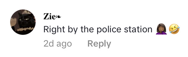 Social media comment on the post of Brazen shoplifters strolled out of H&M in Islington with £400 of clothes just yards from a police station before being stopped by officers at a nearby bus stop.
