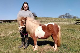 Neglected Shetland pony Sherbert rescued in Cornwall finds a loving home in south Wales after a year of recovery with The Mare and Foal Sanctuary.