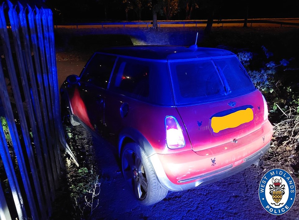 Driver jailed after Mini chase near iconic Italian Job filming site - Leslie Cooke’s bid to mimic Michael Caine ended with a stinger, arrest and 10 month sentence.