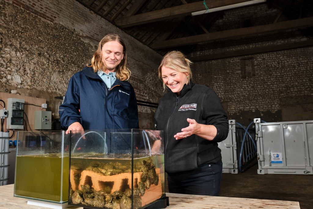 Gavin & Stacey star Joanna Page is backing a project to restore four million oysters to Norfolk’s coast by 2026 with Oyster Heaven and Purina to revive marine biodiversity.