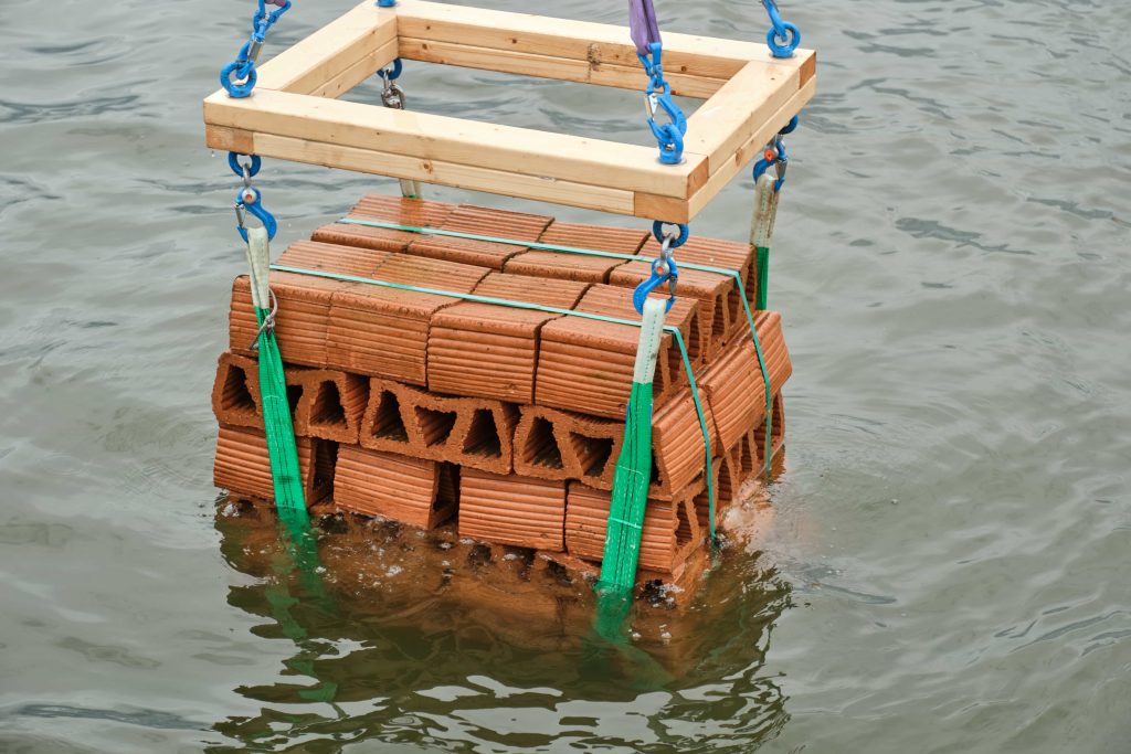 Gavin & Stacey star Joanna Page is backing a project to restore four million oysters to Norfolk’s coast by 2026 with Oyster Heaven and Purina to revive marine biodiversity.