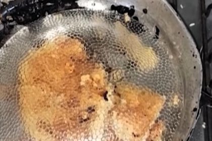 Grandmother arrested after poisoned cake kills nine year old girl in Brazil - Forensic tests found toxic pesticide terbufos as police investigate tragic family incident.