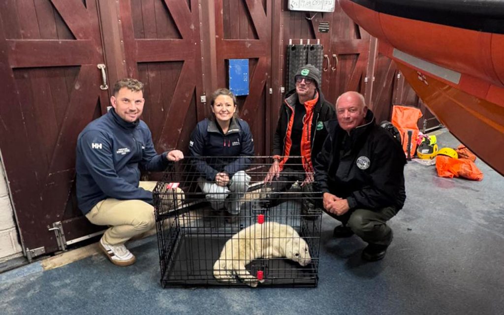 Newborn seal pup rescued in Porthcawl after storm separates him from mum - injured and malnourished, he’s now safe with the RSPCA and has been named Elvis.