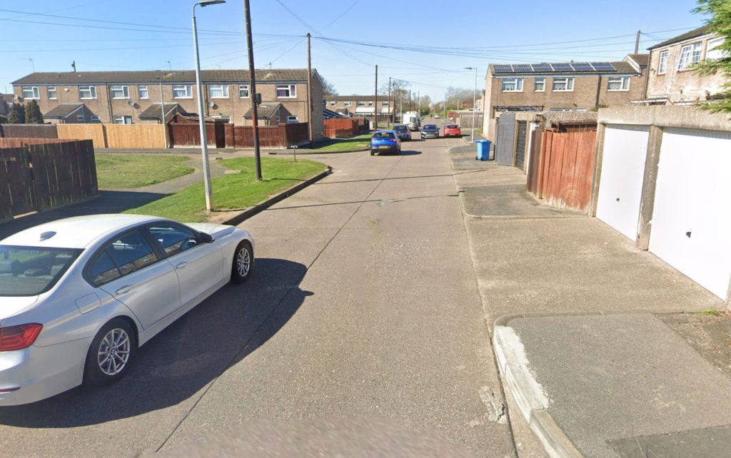 Neglected German Shepherd puppy left looking like a hyena - Hull man banned from keeping animals for life after Simba’s shocking condition and heartbreaking fate.