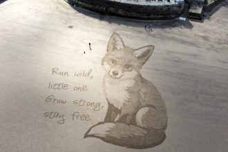 Artist Fred Brown wows UK beachgoers with lifelike animal sand art from dolphins to foxes - using his stunning sketches to raise awareness for wildlife protection.