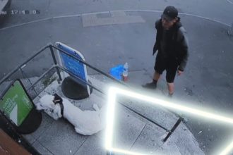 CCTV shows Golden Retriever tied up and kicked in St Helens - RSPCA appeal to trace thug after dog was also dragged down steps in shocking animal cruelty case.