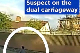 A Met Police officer was compared to Usain Bolt after sprinting down a dual carriageway to catch a Mini thief who crashed on the A3 before fleeing on foot.