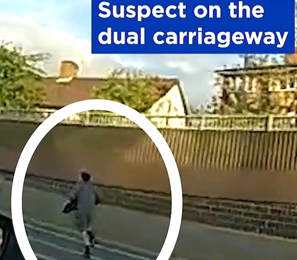 A Met Police officer was compared to Usain Bolt after sprinting down a dual carriageway to catch a Mini thief who crashed on the A3 before fleeing on foot.