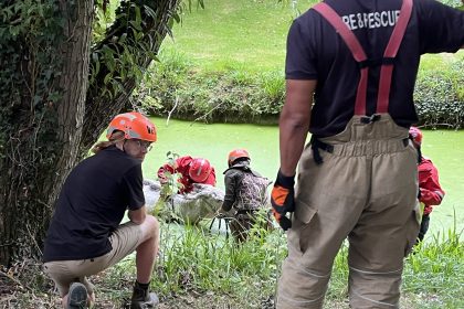 Donkey Blossom rescued from a moat as firefighters step in with gear and harness to save her. Public praises the dramatic rescue and her safe return to her herd.