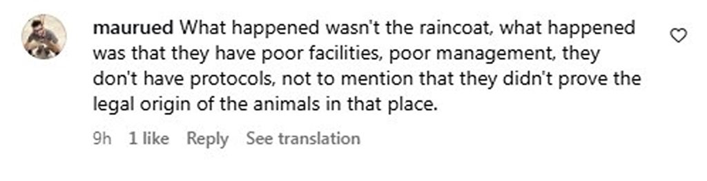 Social media comment on the post of Tiger grabs vet from behind at Mexican zoo in viral video - Alejandra Mora says big cat Rayita was only playing with her jacket and confirms both are safe and well.
