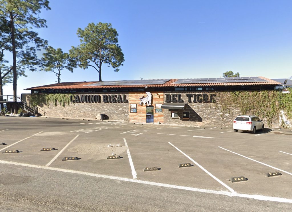 Tiger grabs vet from behind at Mexican zoo in viral video - Alejandra Mora says big cat Rayita was only playing with her jacket and confirms both are safe and well.