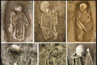 World’s oldest mummies discovered in Southeast Asia - smoke-dried bodies dating back 12,000 years reveal ancient rituals, spiritual beliefs and cultural practices of early societies.