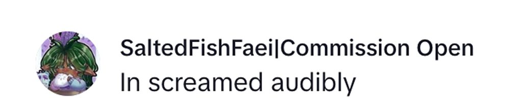 Social media comment on the post of Head lice technician Rachel Maroun treats clients without protective gear and shares viral TikTok clips - she calls it her true calling despite being branded crazy.