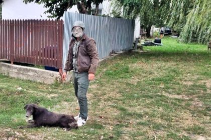 A three-year-old boy was killed by stray dogs in Mărășești, Romania, after wandering from home - authorities are probing his parents as locals blame officials for ignoring the danger.