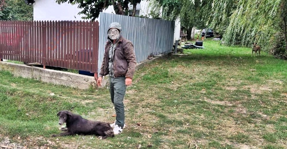 A three-year-old boy was killed by stray dogs in Mărășești, Romania, after wandering from home - authorities are probing his parents as locals blame officials for ignoring the danger.
