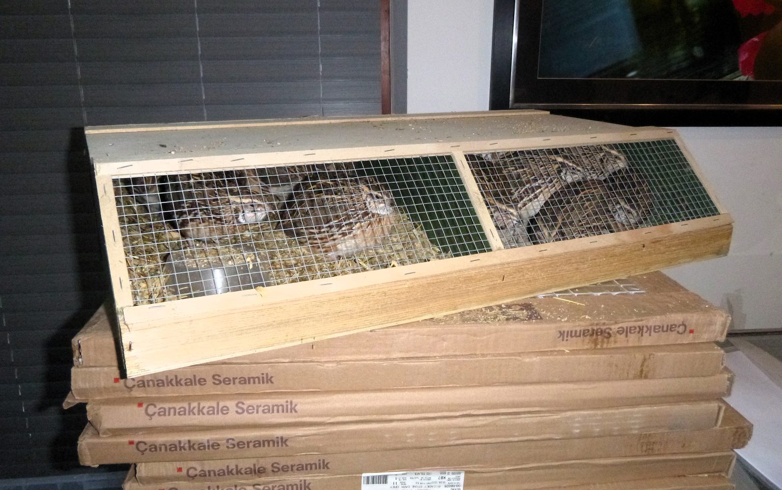 A man has been banned from keeping animals for 16 years after Britain’s biggest exotic pet neglect case, where nearly 2,000 creatures were rescued in Operation Herald.