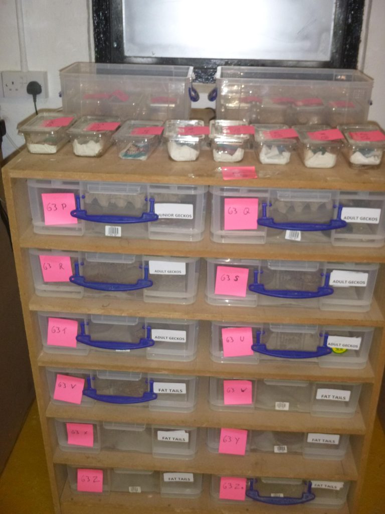 A man has been banned from keeping animals for 16 years after Britain’s biggest exotic pet neglect case, where nearly 2,000 creatures were rescued in Operation Herald.