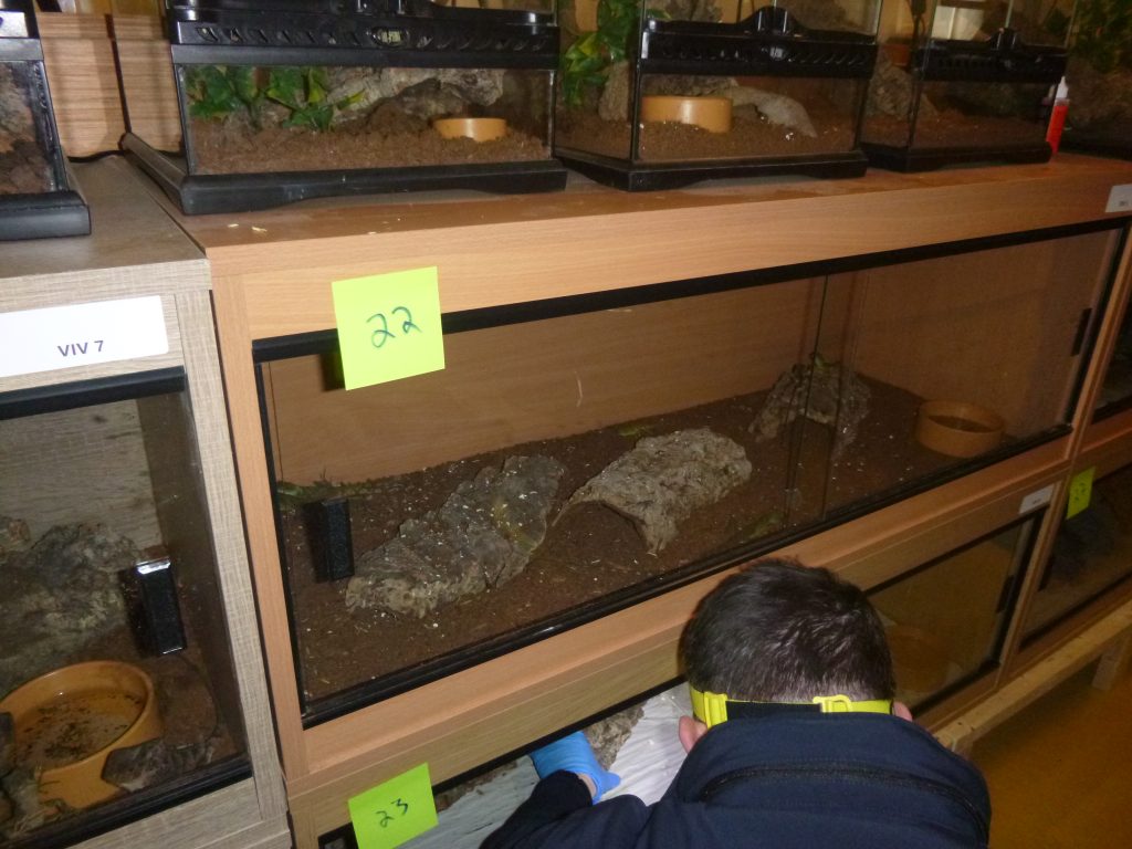 A man has been banned from keeping animals for 16 years after Britain’s biggest exotic pet neglect case, where nearly 2,000 creatures were rescued in Operation Herald.