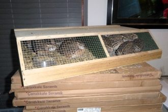A man has been banned from keeping animals for 16 years after Britain’s biggest exotic pet neglect case, where nearly 2,000 creatures were rescued in Operation Herald.