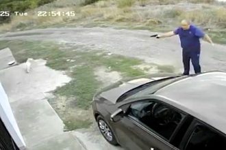 A Romanian man has been fined £1,200 after CCTV caught him shooting a puppy with an airsoft gun when playful dogs approached his pet during a walk in Constanța.