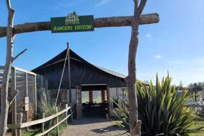 Axe Valley Wildlife Park near Axminster is closing after 17 years, citing financial struggles. The zoo assured that all animals, including wild cats and zebras, will be safely rehomed.