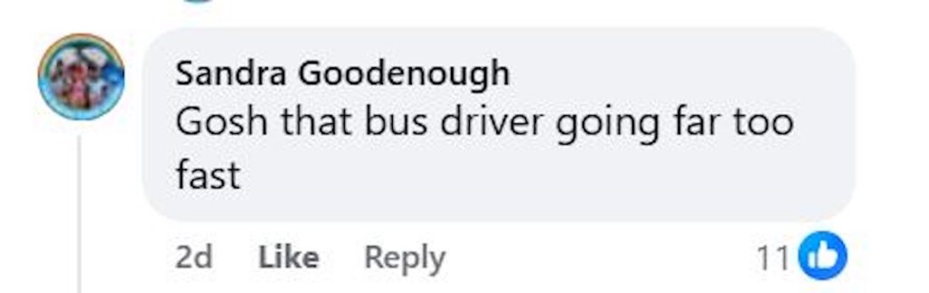 Social media comment on the post of A hero guide dog saved its blind owner from being hit by a speeding bus in Torquay after the driver failed to stop at a zebra crossing, narrowly avoiding tragedy.