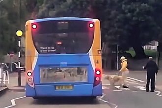 A hero guide dog saved its blind owner from being hit by a speeding bus in Torquay after the driver failed to stop at a zebra crossing, narrowly avoiding tragedy.