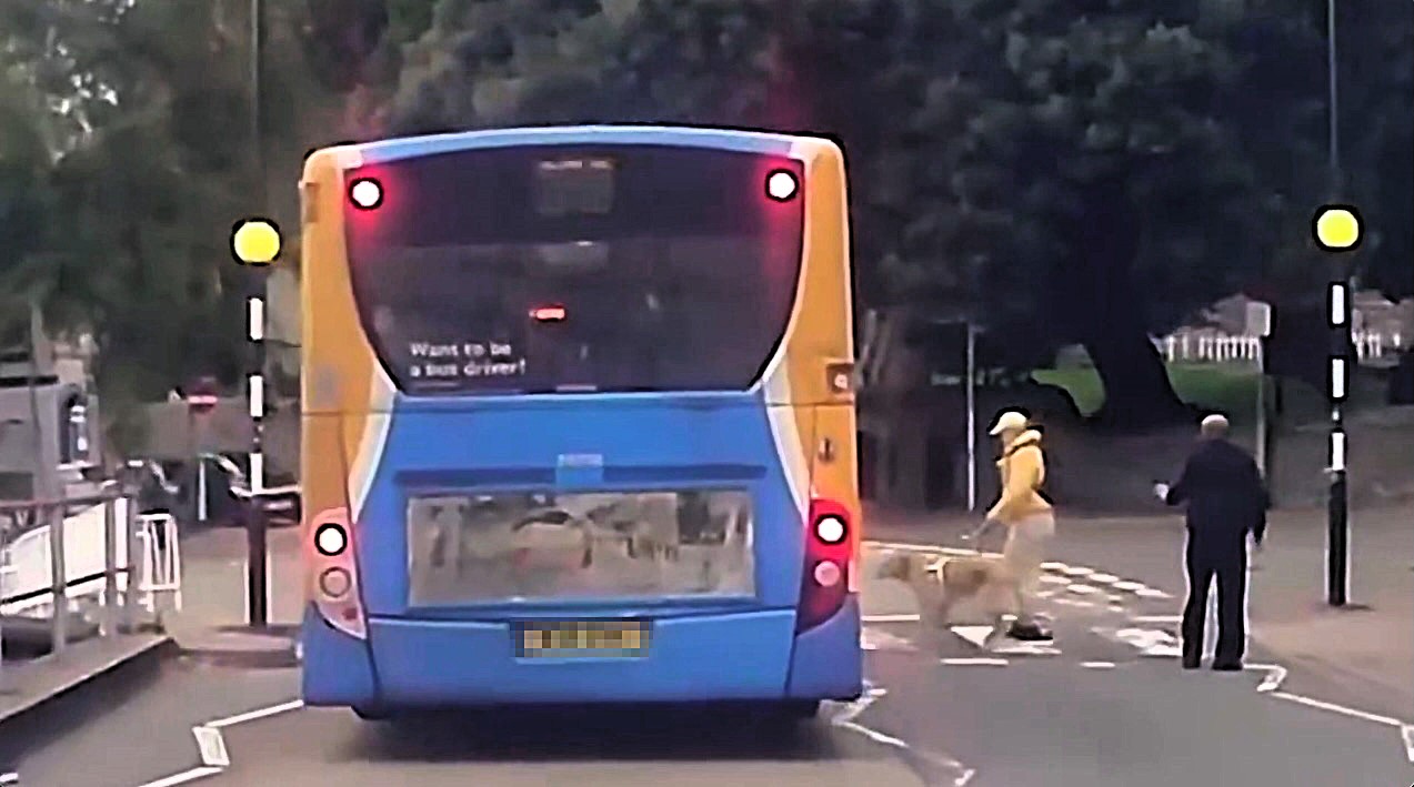 A hero guide dog saved its blind owner from being hit by a speeding bus in Torquay after the driver failed to stop at a zebra crossing, narrowly avoiding tragedy.