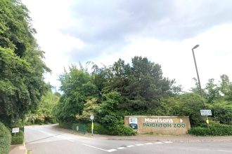 Paignton Zoo in Devon, home to over 2,000 animals and famous gorilla Jürgen, is up for sale as the Wild Planet Trust seeks investment to secure its future amid financial struggles.