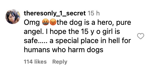 Social media comment on the post of A pit bull named Sparta is hailed a hero after protecting a teen from a man before being cruelly thrown from a balcony. The dog survived and the suspect was arrested.