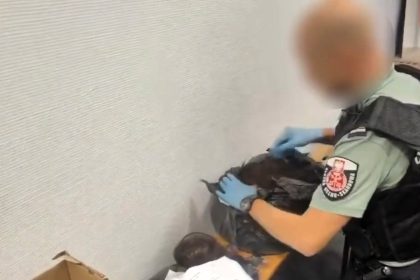 A traveller was caught smuggling over 33lb of human hair worth £55,000 through Kraków Airport - Polish customs found 94 ponytails hidden in bags after he claimed to have nothing to declare.