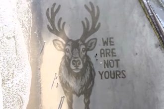 Giant reindeer carved into snowy Scarborough beach sends a powerful message urging an end to live animal Christmas displays as stunning sand art sparks praise and debate.